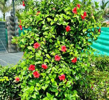 Faridabad House | The Trehan 56 Farm