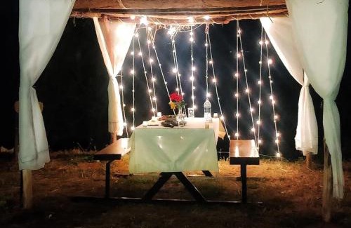 Wai Other | The Tribe Panchgani