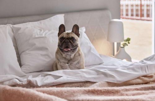 Chinatown Hotel | The Ultimo