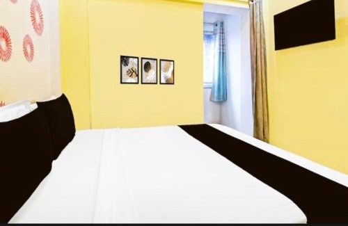 Chinar Park House | The valentino