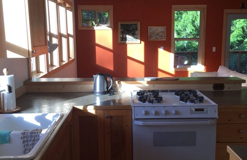 Whatcom County Apartment | The Van Zandt Raven in the Mt Baker foothills
