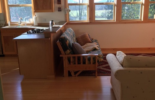 Whatcom County Apartment | The Van Zandt Raven in the Mt Baker foothills