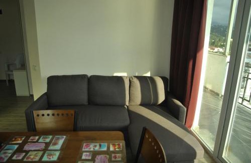 Makhinjauri Apartment | the View Apartment