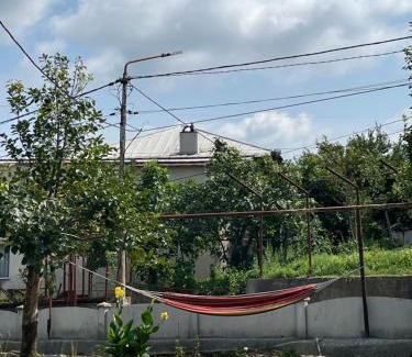 Kutaisi House | The view of gora