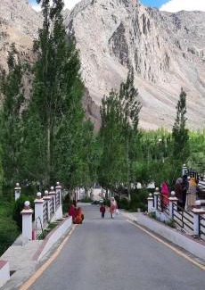 Kargil Bed & Breakfast | The VILLAGE RESORT ASHUNA