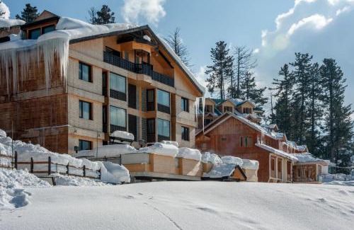 Srinagar Hotel | The Vintage Gulmarg