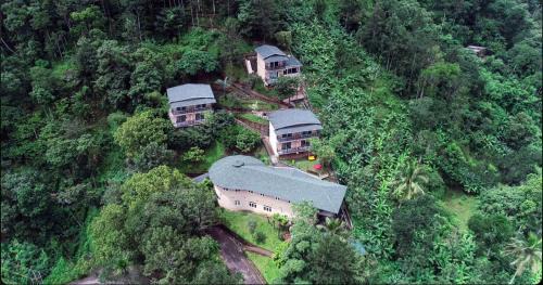 Pirmed Resort | The Violet Thekkady