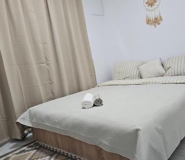 Arad Apartment | 'The Vision' apartment, parcare publica fără plata, Self Non Stop check in
