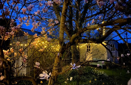 New Forest District House | The Wayside Shepherd Hut