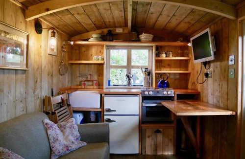 New Forest District House | The Wayside Shepherd Hut