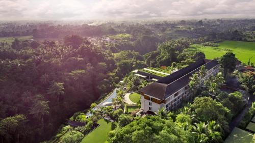 Singakerta Hotel | The Westin Resort & Spa Ubud, Bali