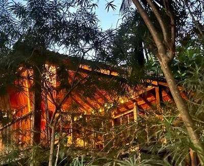 Anjuna House | The Wild Flower!