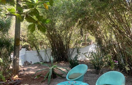 Anjuna House | The Wild Flower!