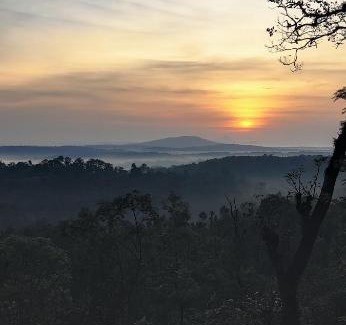 Madikeri House | The willows