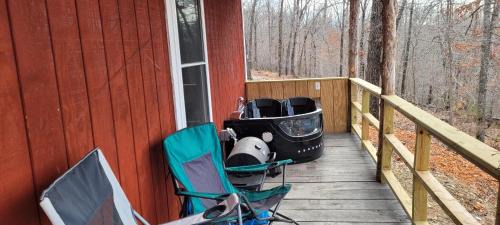 Marshall Villa | The Windstorm Cabin - Pet-friendly & a 2-person Jacuzzi hot tub!