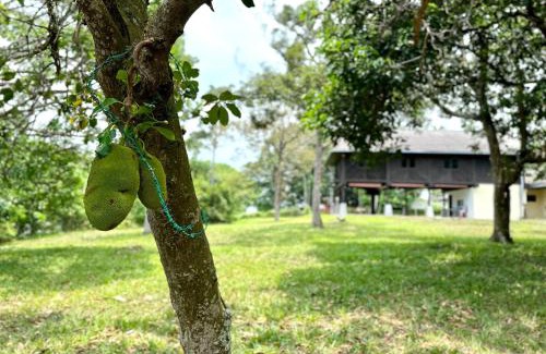 Si Rusa Villa | The Wooden Retreat Port Dickson