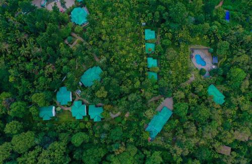 Kidanganad Resort | The Woods Resorts Wayanad