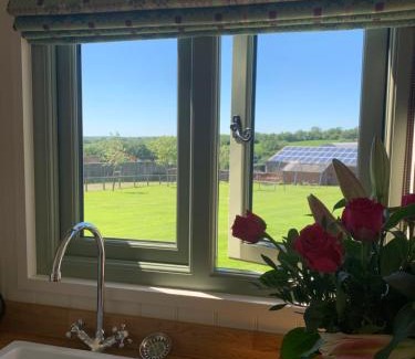 Whitland Other | The Woolly Sheep Shepherd Huts