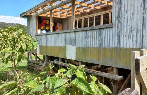 Amodeo Bay House | The Woolshed, Papa Aroha, Coromandel