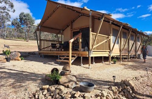 Costerfield Other | the YellowBoxWood Heathcote - Echidna Ridge and Emu Valley Tents x 2