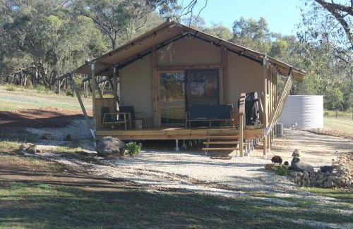 Costerfield Other | the YellowBoxWood Heathcote - Echidna Ridge and Emu Valley Tents x 2