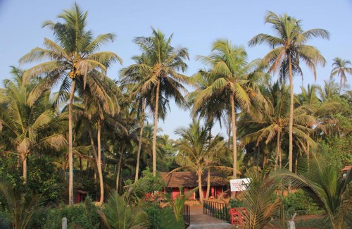 Anjuna House | The Yuppi Hippi Hideout
