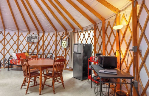 Driftwood Cabin | The Yurt - a unique camping experience