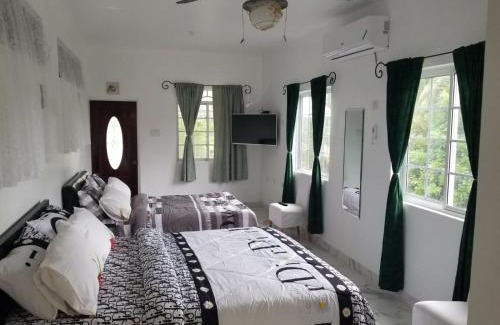 Summerfield Apartment | Thebreeze2022