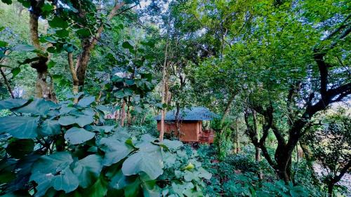 Kattikkulam Resort | Thennal Junglecamp
