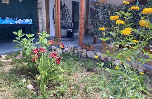 Badacsonyors House | Theodor Tomaj 3Bdr AC Garden Terrace