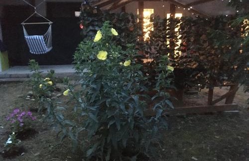 Badacsonyors House | Theodor Tomaj 3Bdr AC Garden Terrace