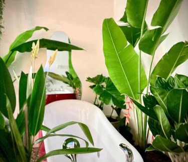 Long Xuyen Apartment | Thiên Nhiên Hotel