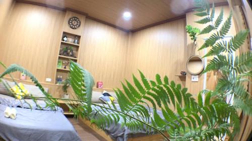 Kon Plong Hotel | Thien Phu Homestay and Coffee - Mang Den