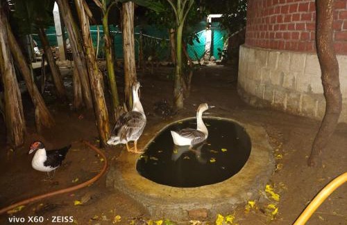 Tiruvannamalai House | Thiru Nakshatra Family Guest House
