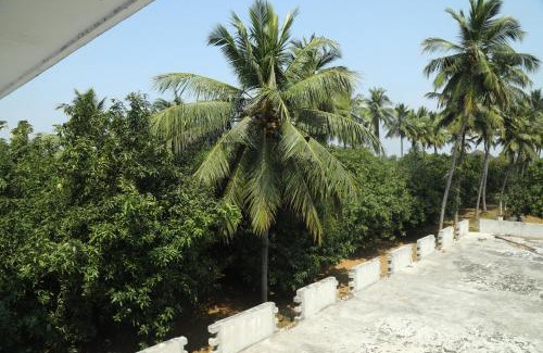 Uttukkottai Apartment | Thiruvallur Farm House