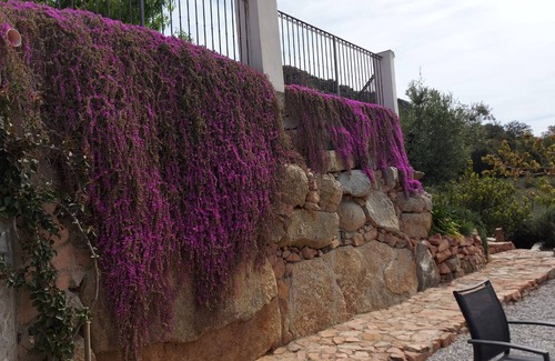 Lanusei House | This Cozy House is Surrounded by Natural Beauties. WiFi and ADSL.