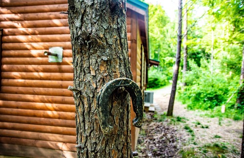 Carbon Hill Cabin | This is a must-see Cabin.