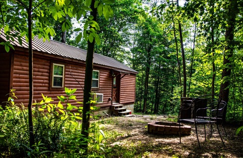 Carbon Hill Cabin | This is a must-see Cabin.