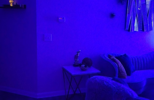 Church Street Apartment | This is a peaceful and relaxing apartment to away from home
