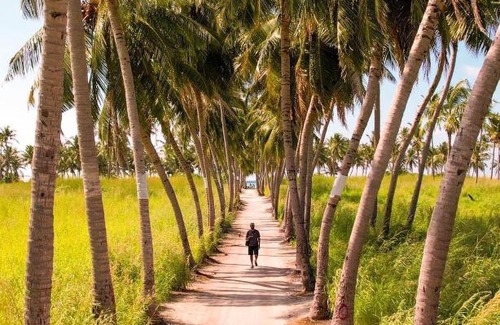 Thoddoo Hotel | Thoddoo Sunny Beach