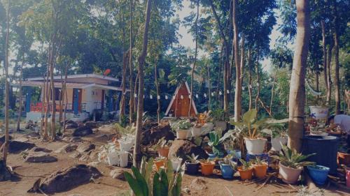 Catarman House | Thor's Cabin-Camp Asgard