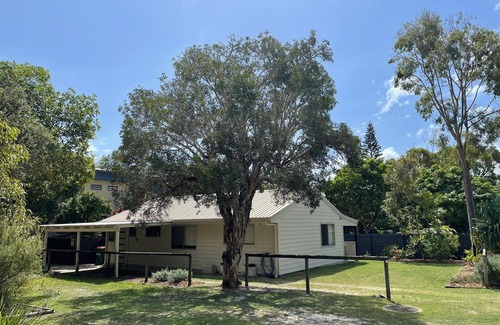 Point Lookout House | Three bedroom lowset house surrounded by bush and native wildlife.
