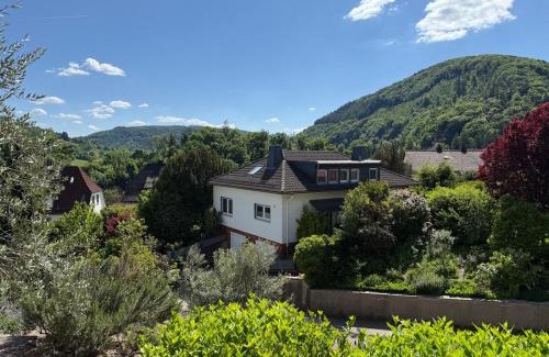 Neckarsteinach Apartment | Three-castle-view in a new appartment