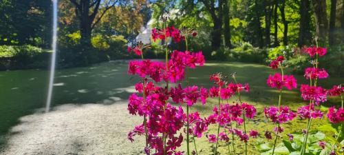 Wick Bed & Breakfast | Thrumster House