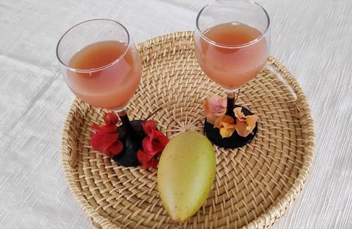 Le Vauclin Apartment | TI CALEBASSE