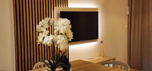 Saint-Andre House | Ti Kaz Angelyn - T2 Cozy avec Spa!
