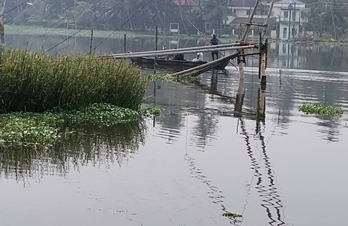 North Paravur Villa | Tidalnest Homestay @kadamakudi backwaters : explore the village life experience
