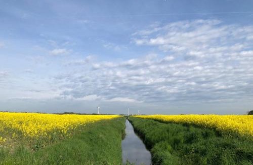 Horum Apartment | Tief 12 Meeresbrise mit Internet 52