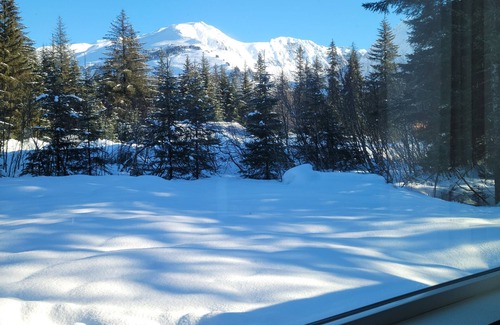 Bear Creek Apartment | Tiehacker Lodging is the perfect place to relax and enjoy the beauty of Alaska!