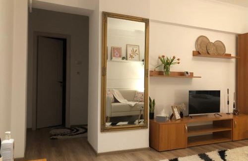 Ramnicu Valcea Apartment | TIF Studio